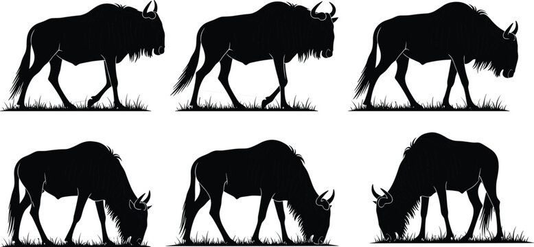 Black wildebeest silhouette vector set featuring gnu antelopes walking and grazing in savanna grass, African wildlife safari icons for nature branding and wilderness conservation.