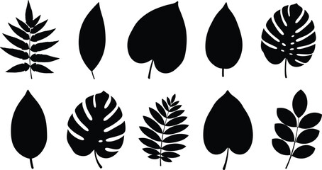 Tropical leaf silhouette set, monstera palm leaves, exotic foliage icons, jungle plant collection, floral elements, botanical greenery, summer nature design, garden decor, isolated vector.