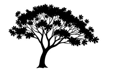 Fototapeta premium Realistic Leafy Maple Tree Silhouette Vector Art Isolated on White Background for Branding and Design