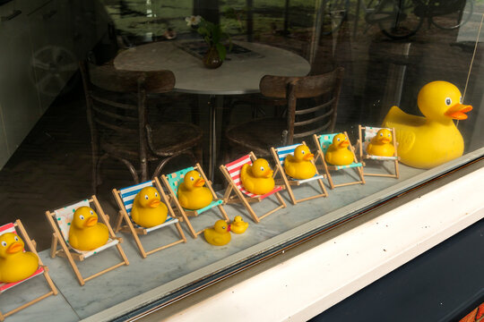Netherlands, Delft.  A collection of yellow rubber ducks in the window of a caf&eacute;.