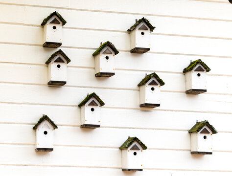 USA, WA, La Connor.  A collection of many similar bird houses attached to the side of a building.