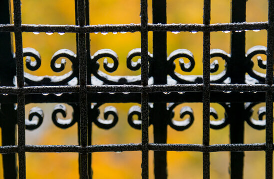 USA, WA, Seattle.  Volunteer Park.  Detail of wrought iron fence in the rain.