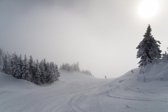 Canada, BC, Sun Peaks.  Frosty, winter alpine conditions at the peak of Todd Mountain in Sun Peaks Resort.