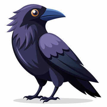 Un beau corbeau Corvus corax, oiseau Nord Pologne Europe