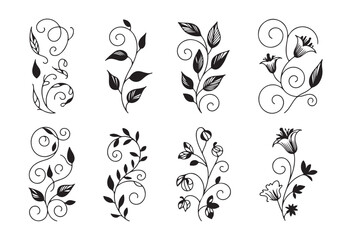 Floral scroll ornaments collection with decorative swirls and leaf vines in elegant hand drawn line style
