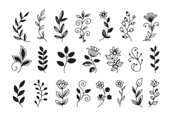 Fototapeta premium Set of line art and silhouette floral illustrations, hand drawn botanical sketches, plant design elements