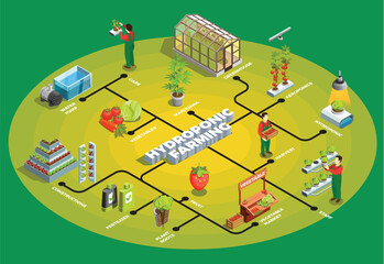 Fototapeta premium Isometric infographic of a hydroponic farming system showing a greenhouse, vertical planting, water management, and automated agricultural monitoring.