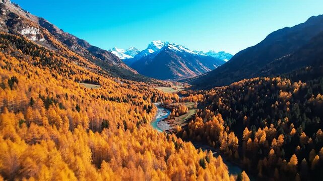Vibrant autumn forest with golden larch trees lining a winding river in a picturesque mountain valley, framed by snow-capped peaks and a clear blue sky, creating a tranquil fall landscape.