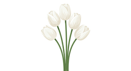 Five white tulip flowers with long green stems are arranged in a symmetrical fan shape against a plain white background for a minimalist floral design.