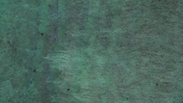 Sea turtles swimming in vast blue ocean water. Fabulous aerial view drone