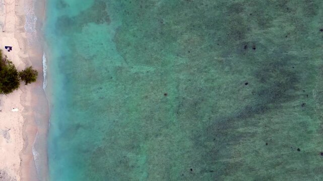 Sea turtles swimming in vast blue ocean water. Unique aerial view drone