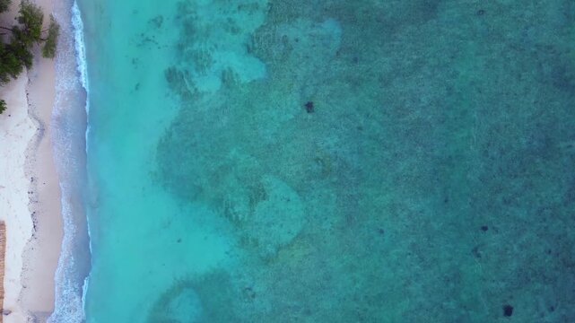 Sea turtles swimming in vast blue ocean water. Magic aerial view drone