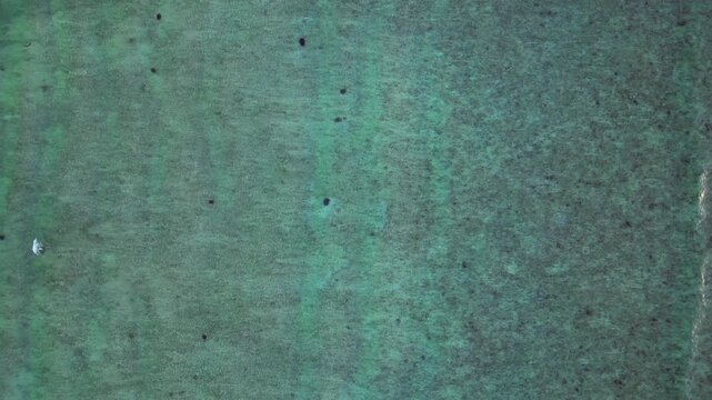 Sea turtles swimming in vast blue ocean water. Fantastic aerial view drone
