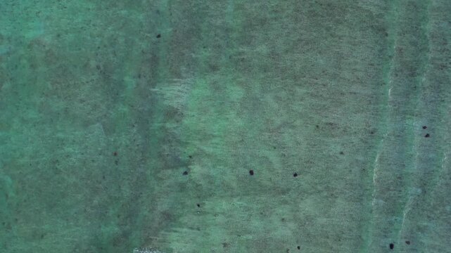 Sea turtles swimming in vast blue ocean water. Gorgeous aerial view drone