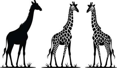 Naklejka premium Three giraffes standing on grass featuring a black silhouette and patterned animals representing wild African nature and zoo wildlife in a simple vector illustration style.
