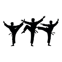Fototapeta premium Three martial arts silhouettes perform dynamic high kicks in synchronized defensive combat training.