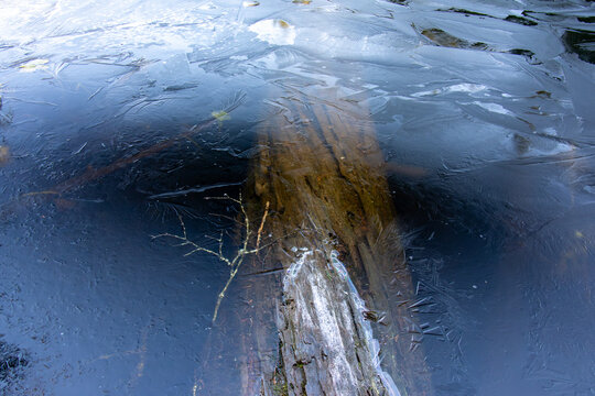 Submerged log visible through thin patterned ice on a frozen lake in Alice Lake Provincial Park British Columbia Canada