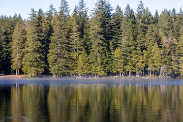 Morning mist rising from the calm surface of a lake reflecting pine trees in Alice Lake Provincial Park Canada