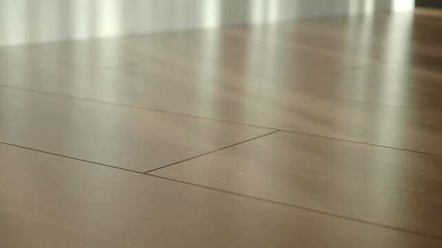 Sunlight creating long shadows on a wooden laminate floor in a bright, clean, and minimalist room, offering a serene and inviting atmosphere with subtle light movement