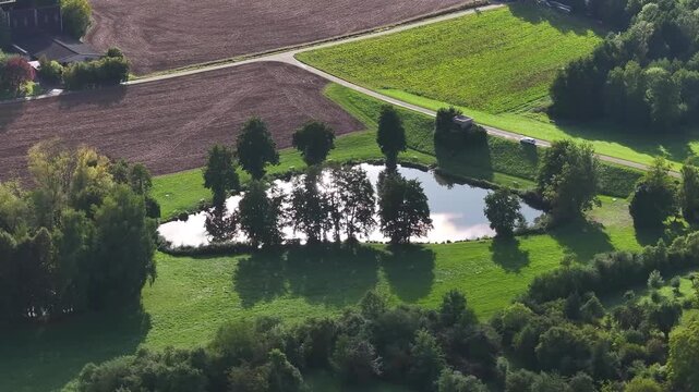 Aerial shot of a serene pond among trees in the middle of the countryside reflecting the sun