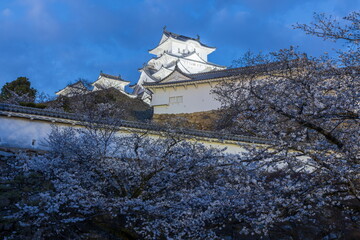 ライトアップされた姫路城　兵庫県姫路市にて
