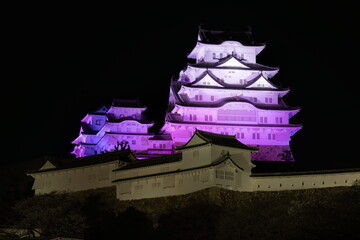 ライトアップされた姫路城　兵庫県姫路市にて