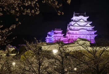 ライトアップされた姫路城　兵庫県姫路市にて