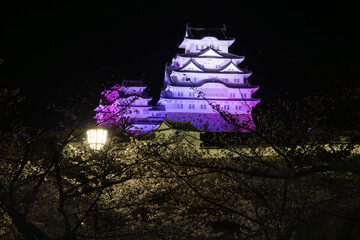 ライトアップされた姫路城　兵庫県姫路市にて
