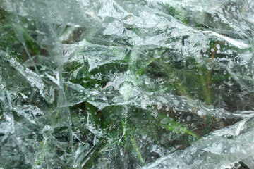 Naklejka premium Dew drops and condensation on transparent plastic covering green plants outdoors. Wrinkled plastic texture effect with foliage background.
