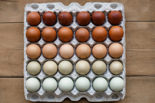 Colorful farm fresh eggs from different breeds of chickens.