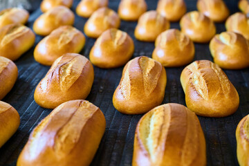 Freshly baked bread rolls emerge from the oven in a bakery, showcasing their golden crusts and inviting aroma