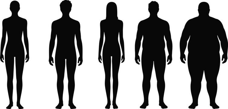 Five human body shape silhouettes from thin to obese on white background Keywords: silhouette, human, body, shape, thin, slim