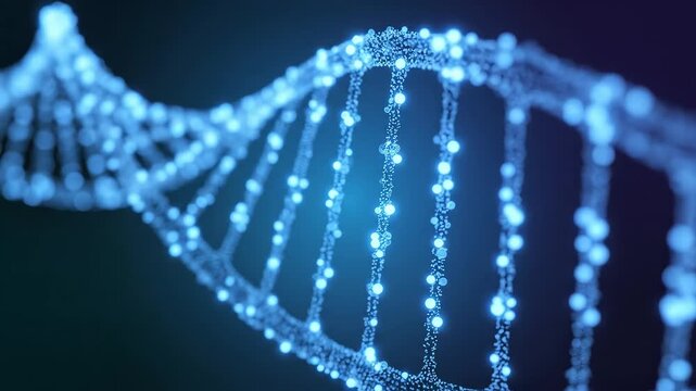 DNA double helix structure