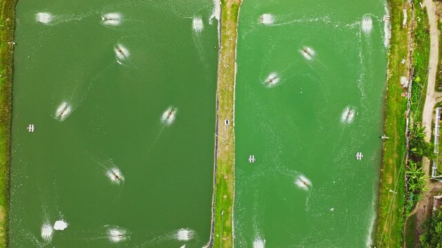 Drone descends over fish and shrimp ponds showing oxygen aeration system