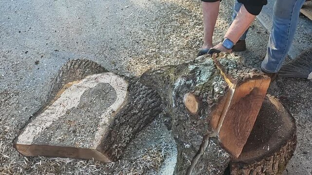 Chainsaw equipment work wood tool to cut tree into lumber 5