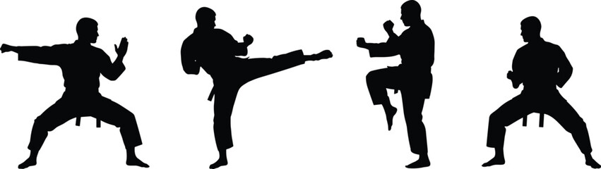 Four martial arts silhouettes in varied stances, including high kick, knee strike, defensive posture, wide stance, showcasing discipline, technique
