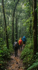 Obraz premium Hiking Through a Lush Rainforest in the Rain