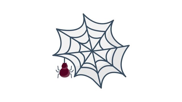 A detailed view of a spider web with a red bug entangled in its delicate threads.