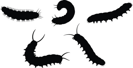 Caterpillar silhouettes collection illustration, insect larvae forms set, crawling worm shapes, nature wildlife vector, black bug design, isolated graphic © Sarjina's World