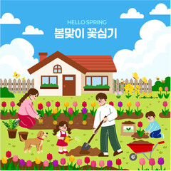 Fototapeta premium Happy family gardening together in front of their house in spring, parents and children planting tulips in the backyard, home gardening lifestyle vector illustration(korean:Planting Spring Flowers)