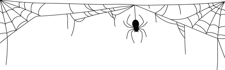 Spider web silhouette illustration, hanging spider on cobweb, minimalist Halloween decoration border, spooky insect line art, black vector design, graphic © MdShafe