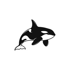 Stylized black and white killer whale orca illustration