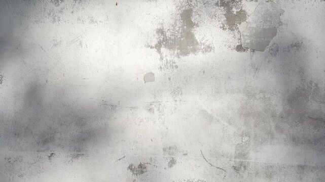 Abstract silhouette moving glare shadows of tree leaves reflection of sunlight on white wall. Transparent blurred bokeh of nature background round plants leaf.