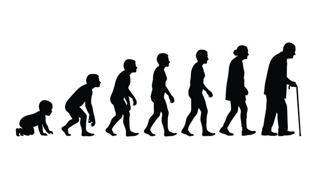 Evolution of humans from ape to elderly man isolated on white background, Vector