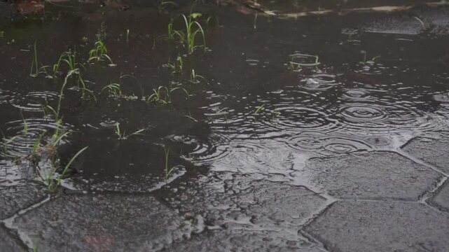 Slow motion of raindrops dripping on paving blocks