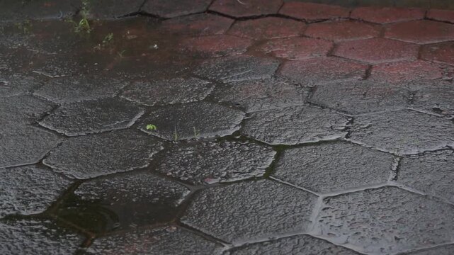Slow motion of raindrops dripping on paving blocks