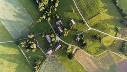 Aerial perspective showcases rustic village amidst lush agricultural landscape