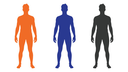 Three colored human silhouettes standing side by side isolated on white background, Vector
