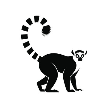 Minimalist Ring Tailed Lemur Silhouette Madagascan Primate Wildlife Icon for Nature Theme Line Art Vector illustration