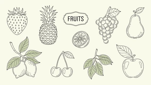 Collection of hand drawn fruit sketches including pineapple and strawberry and apple and grapes with soft green accents on cream.